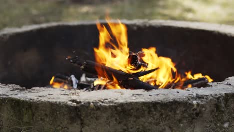 schönen-Lagerfeuer-im-Sommer-Wald