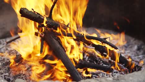 schönen-Lagerfeuer-im-Sommer-Wald