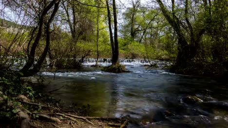 Flood-of-the-wild-river