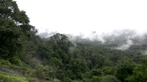 Tropical-forest-during-monsoon-rain-season