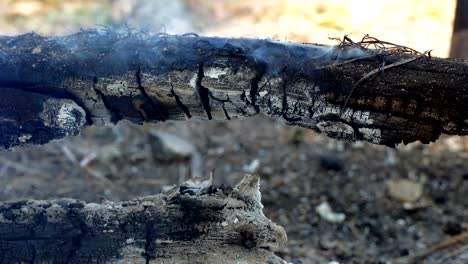 Holzscheite-schwelen-über-dem-erloschenen-Feuer