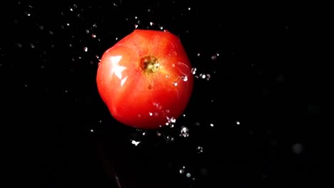 Fallen-der-Tomate.-Slow-Motion.