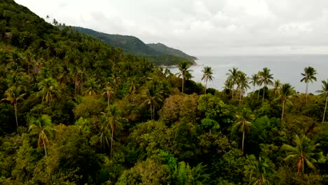 Aerial-drone-top-view-of-exotic-paradise-tropical-coastal-cliff-with-volcanic-stones-covered-with-green-jungle-rainforest-and-coconun-palms-washed-with-calm-ocean-or-sea,-Koh-Prangan-island,-Thailand