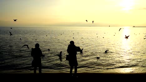 People-feed-seagulls-on-the-seashore.-Slow-motion.