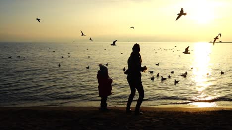 People-feed-seagulls-on-the-seashore.-Slow-motion.