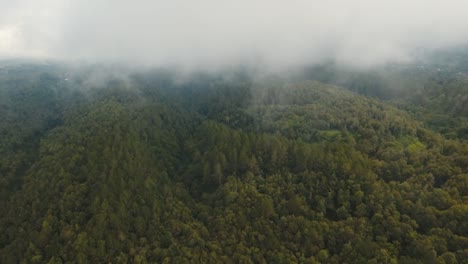 Rainforest-in-cloud,-Bali,Indonesia