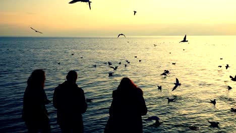 People-feed-seagulls-on-the-seashore.-Slow-motion.