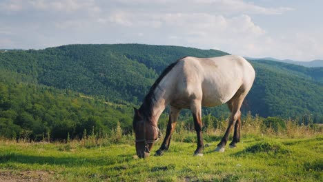 Varios-caballos-pastan-en-un-valle-pintoresco-telón-de-fondo-las-montañas.-Concepto-de-turismo-verde