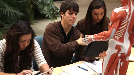 Eine-Gruppe-von-Studenten-tun-Laborarbeit-während-ihres-Vortrags