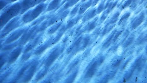 Underwater-light-reflect-in-water-tank.