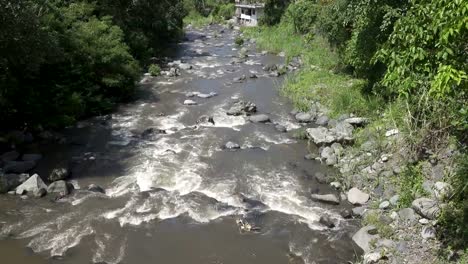 The-deep-mountain-river-after-a-tropical-rain,-Amazing-riverscape-with-dense-exotic-forest-growing-on-rocky-riverbank-and-rapid-water-stream.-Bali,-Indonesia