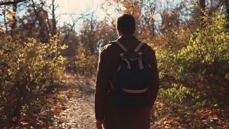 Man-takes-a-stroll-in-forest.