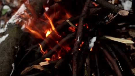 Burning-braches-wood-close-up-of-red-hot-fire