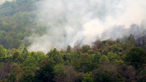 incendios-forestales-en-la-montaña,-Tailandia-(tiro-de-pan)