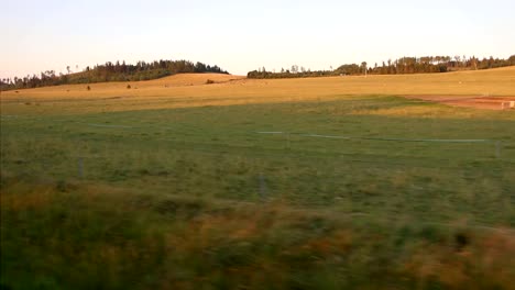 Hermosa-vista-sobre-el-campo-verde-de-una-ventana-de-tren