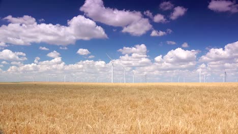 Cluster-of-wind-turbines-creating-clean-&-renewable-energy,