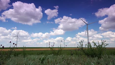 Cluster-of-wind-turbines-creating-clean-&-renewable-energy,