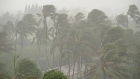 Lluvias-y-viento-en-la-Tormenta-Tropical-Island