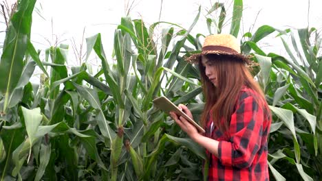 Cheerful-Asian-Farmer