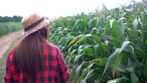 Agricultores-asiáticos-alegre