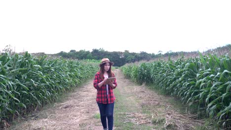 Cheerful-Asian-Farmer