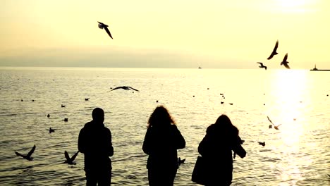 Personas-alimentan-las-gaviotas-en-la-orilla-del-mar.-Cámara-lenta.