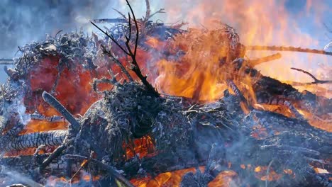 Incendios-forestales-causan-contaminación-del-aire,-eliminación-de-residuos-por-quema,-fuego-y-destrucción.