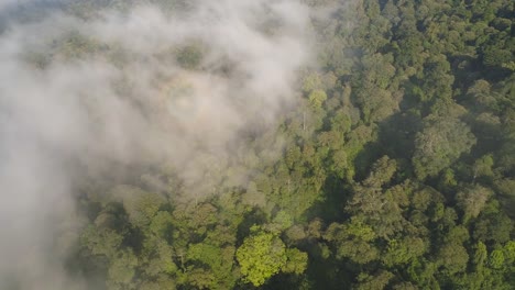 montañas-y-paisaje-tropical-rainforest