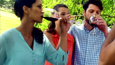 Family-drinking-wine-in-park