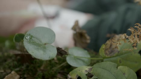 Hand-with-needle-in-vein-close-up