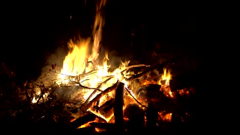 campfire-camp-fire-summer-burning-fire-campfire-in-FullHD