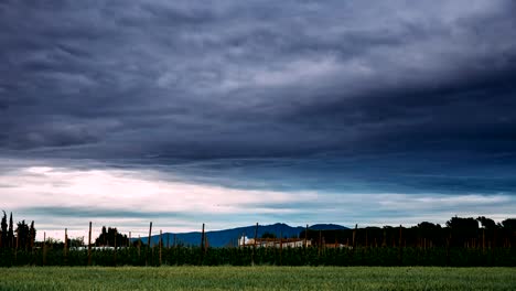 Zeit,-Zeitraffer,-Zeitraffer,-Zeitraffer-ländlichen-Landschaft-mit-Weizenfeld-und-Weinberg-im-Süden-von-Spanien.-Sommerabend