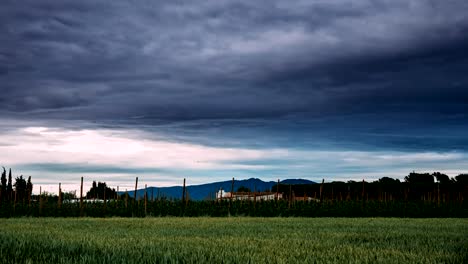 Tiempo-Lapse,-Timelapse,-Time-lapse-paisaje-Rural-del-campo-de-cereal-y-viñedo-en-el-sur-de-España.-Tarde-de-verano