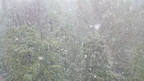 Slow-motion-footage-of-heavy-snow-falling-in-spring