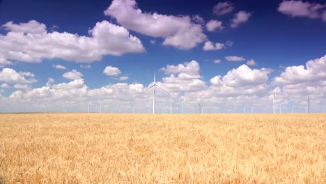 Cluster-of-wind-turbines-creating-clean-&-renewable-energy,