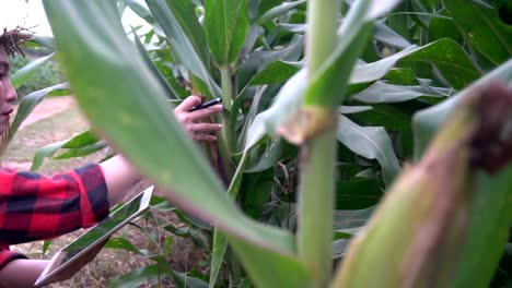 Cheerful-Asian-Farmer