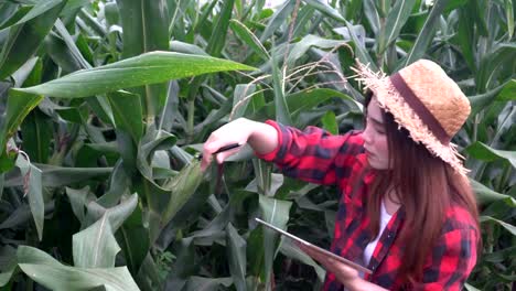 Cheerful-Asian-Farmer