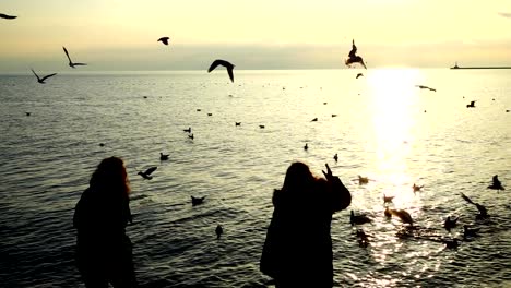 Personas-alimentan-las-gaviotas-en-la-orilla-del-mar.-Cámara-lenta.