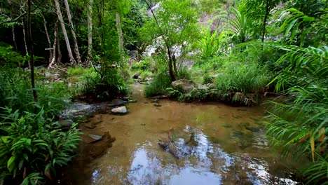 Wasserfall-im-Wald