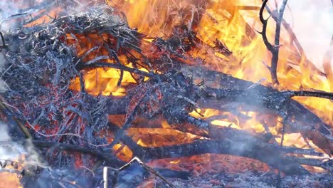 Waldbrände-verursachen-Luftverschmutzung,-Entsorgung-durch-Verbrennung,-Brand-und-Zerstörung.