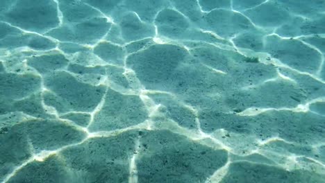 Underwater-scenery-of-a-bottom-of-the-sea