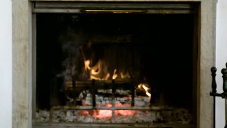 Beer-toast-in-front-of-the-fireplace