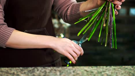 Women's-hands-cut-the-stems-of-flowers.-Close-up.