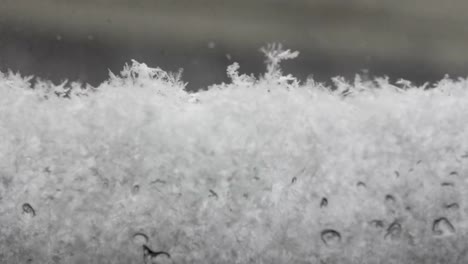 Time-lapse-snow-falling-and-gathering-on-window-snowflakes-close-up