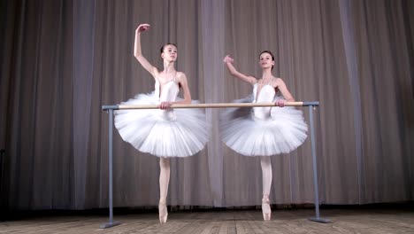 ballet-rehearsal,-in-old-theater-hall.-Young-ballerinas-in-white-ballet-skirts,-tutus,-are-engaged-at-ballet,-perform-elegantly-a-certain-ballet-exercise,-pass-,-attidude,-standing-near-barre