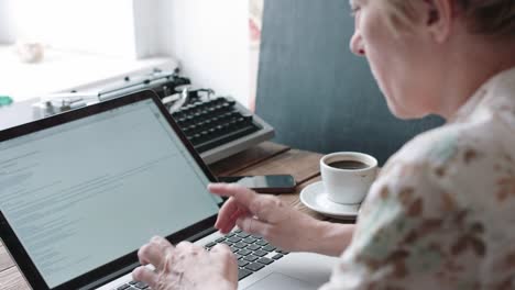 Back-view-of-woman-using-laptop