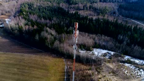 Toma-aérea-de-los-árboles-de-pino-verde-en-el-bosque