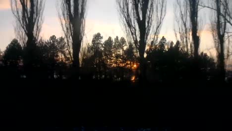 Bosque-filmado-desde-dentro-de-un-tren,-al-caer-el-sol