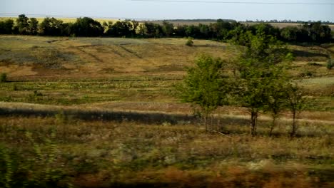 Agricultural-fields.