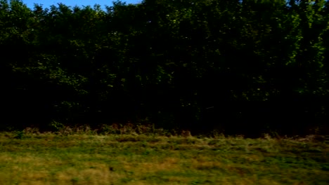 Landwirtschaftlich-genutzten-Feldern.-Schießen-in-der-Bewegung.